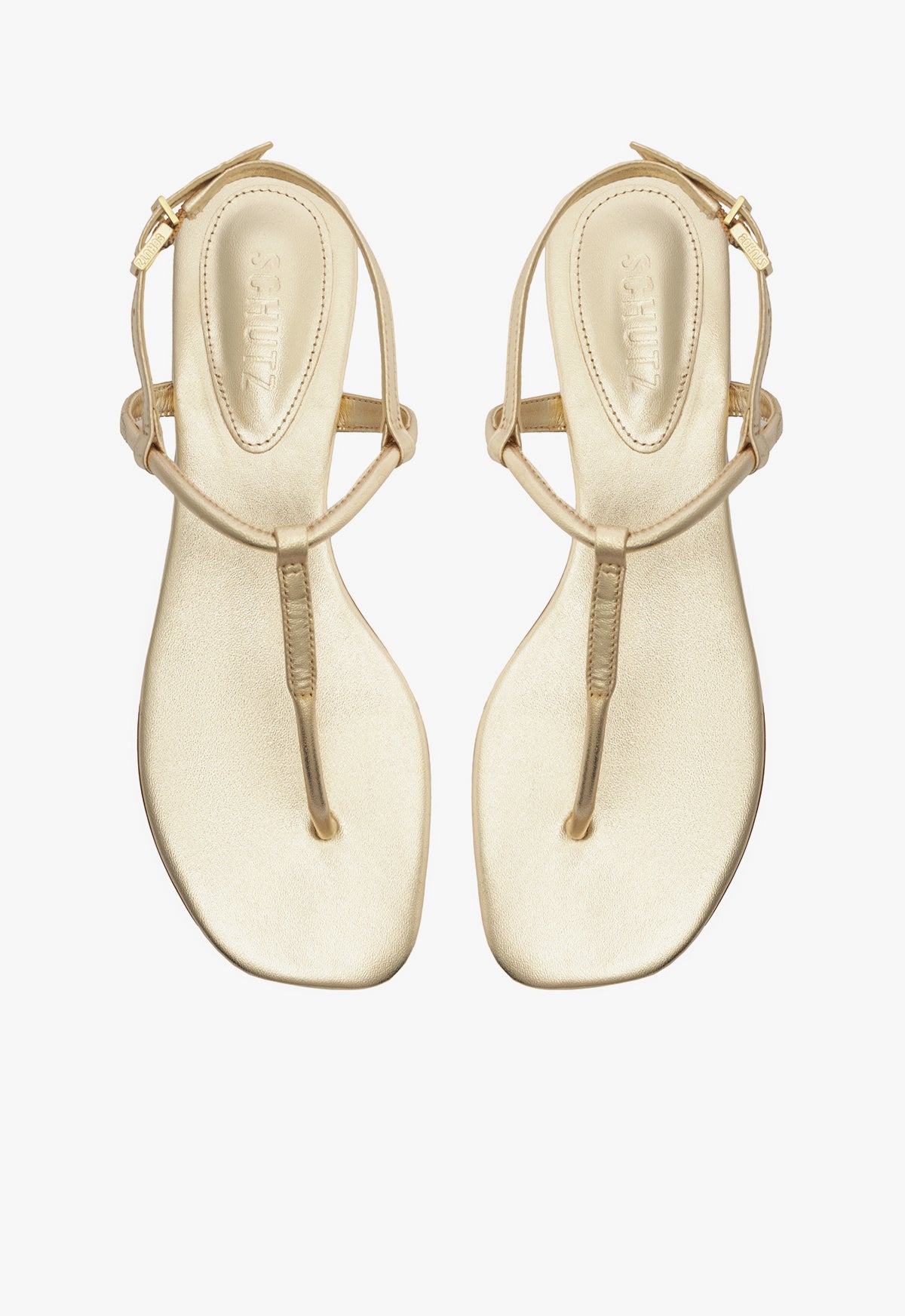 Elsha Flat Sandal SPRING 25 - Schutz Shoes