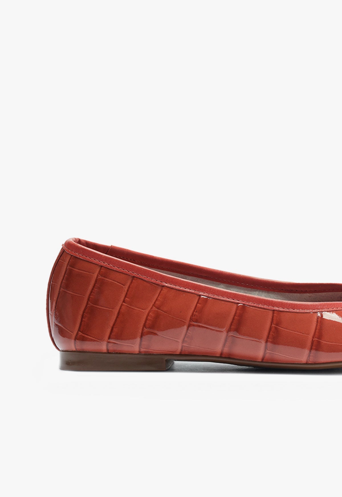Arissa Ballet Flat RESORT 25 - Schutz Shoes
