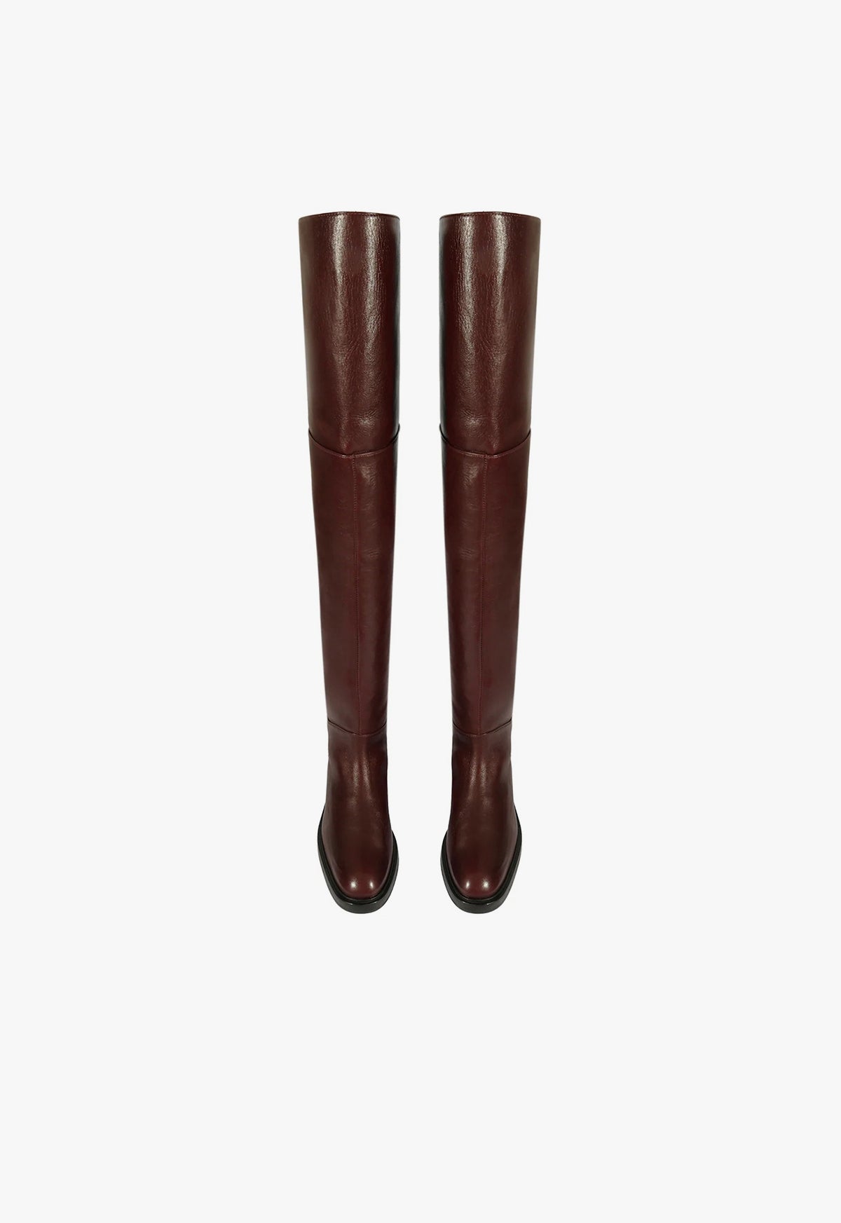 Terrance Over the Knee Boot FALL 24 - Schutz Shoes