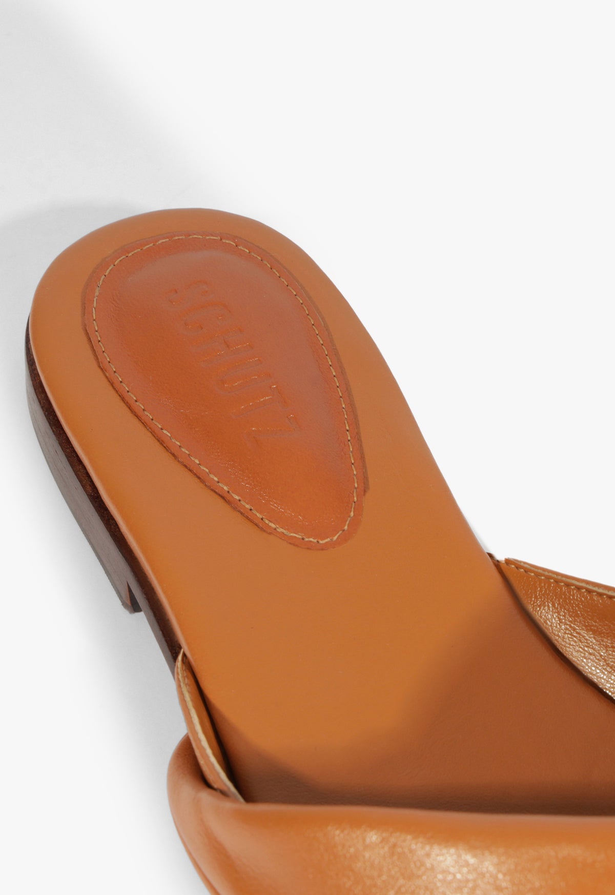 Lori Brown Leather Flat Sandal SPRING 25 - Schutz Shoes