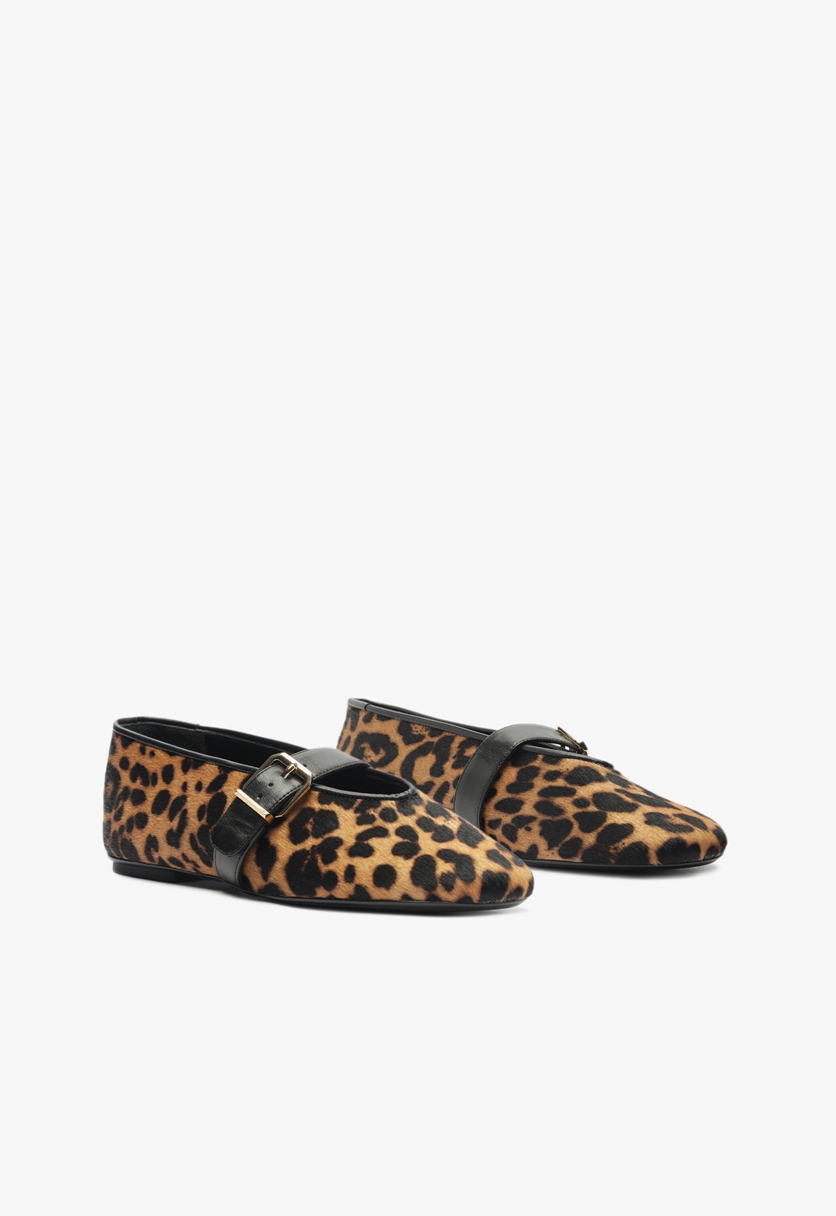Eiza Wild Ballet Flat WINTER 24 - Schutz Shoes