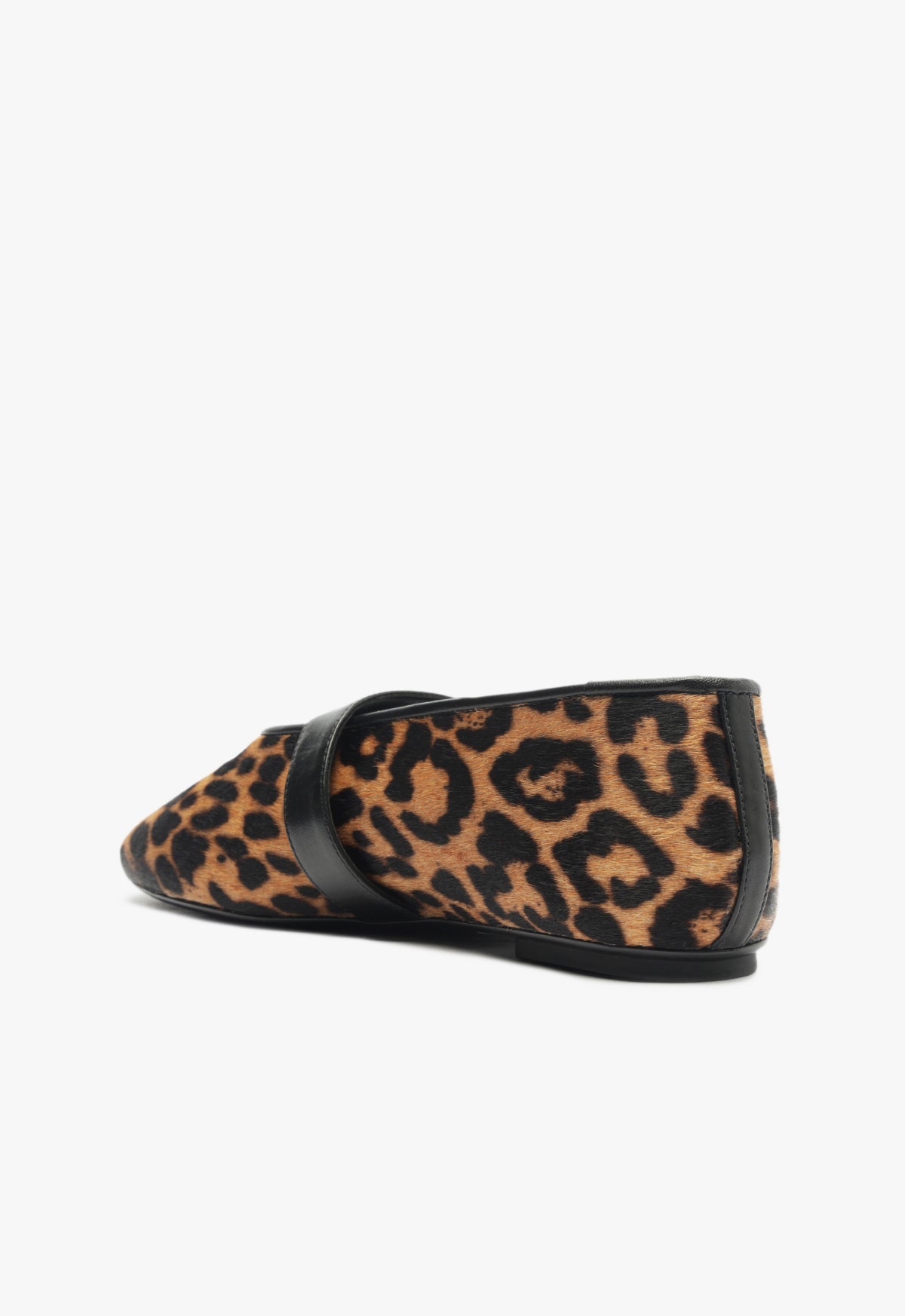 Eiza Wild Ballet Flat WINTER 24 - Schutz Shoes
