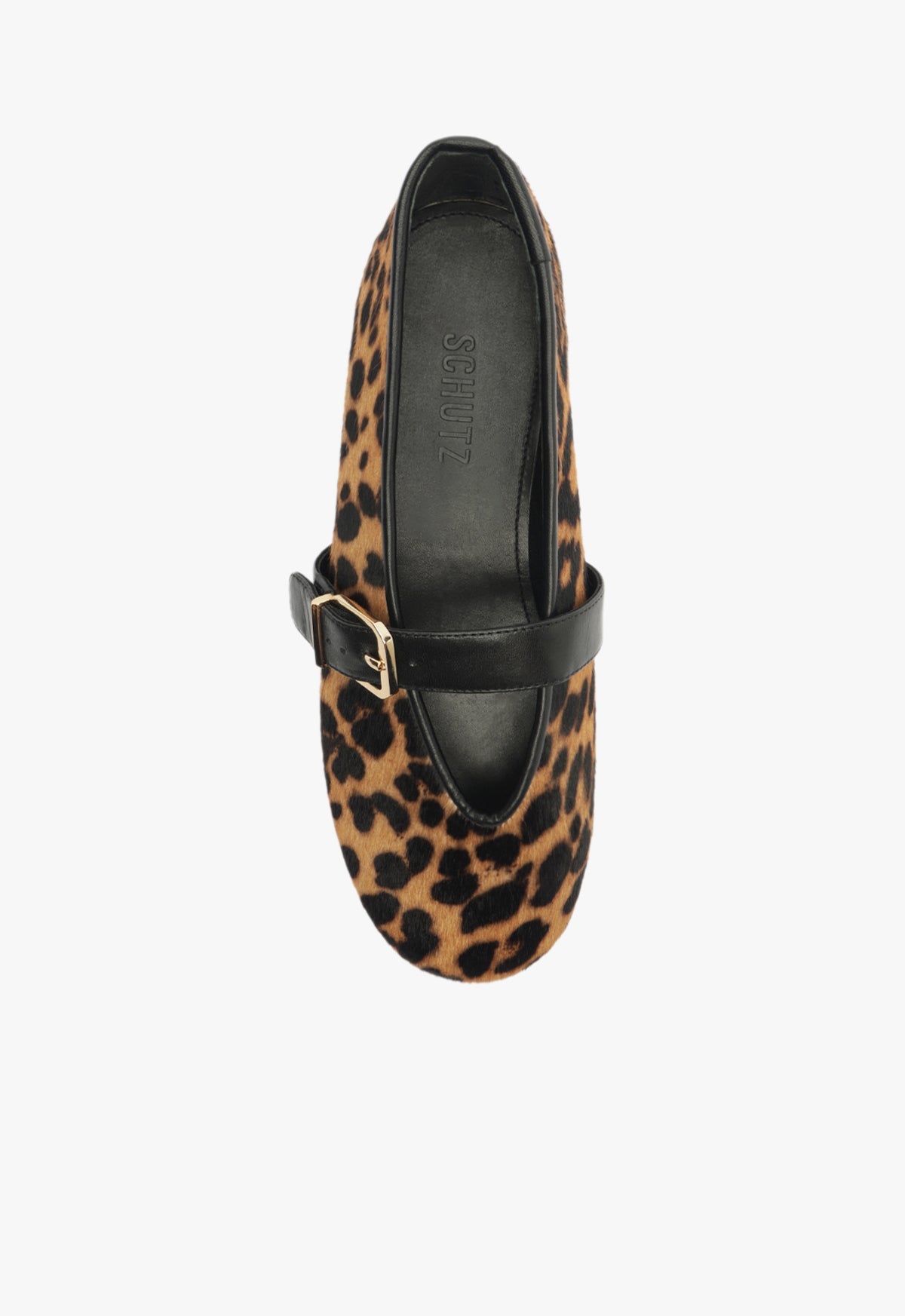 Eiza Wild Ballet Flat WINTER 24 - Schutz Shoes