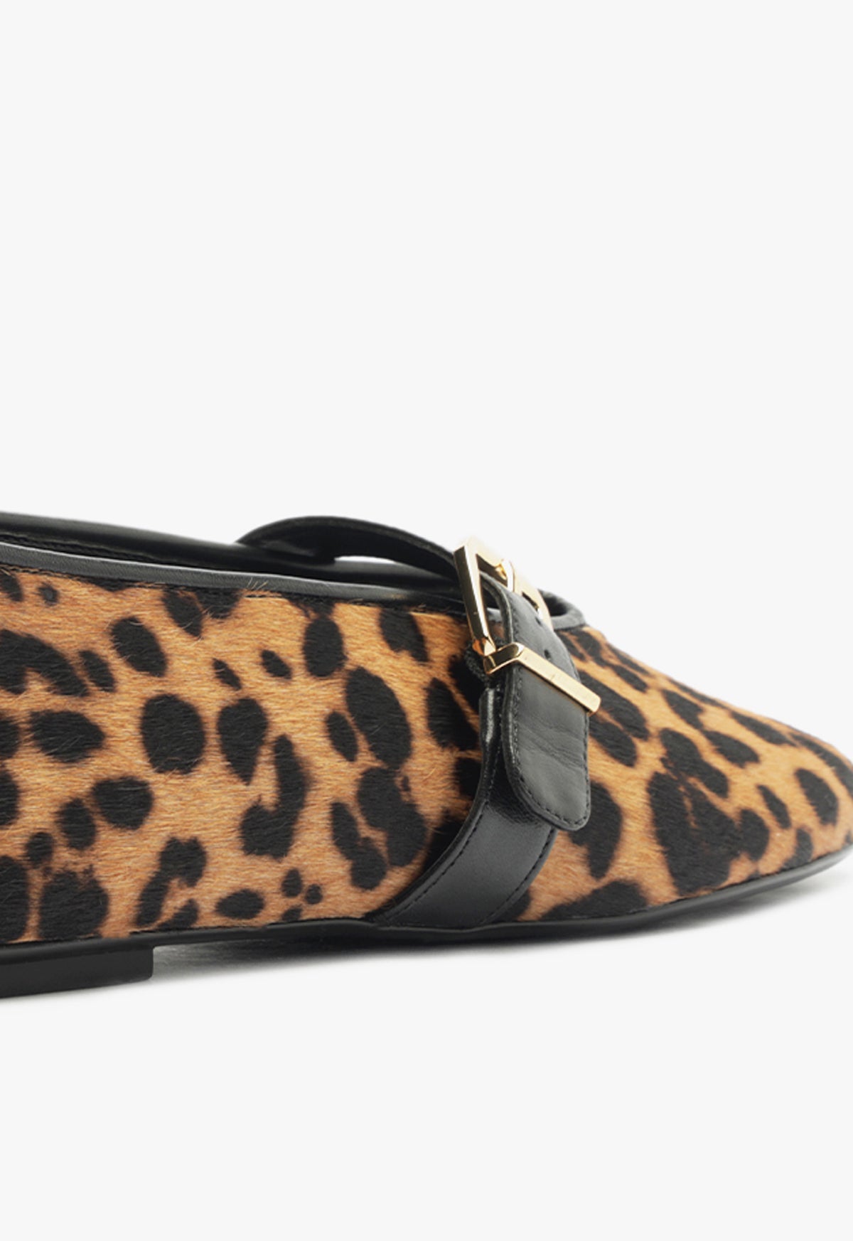 Eiza Wild Ballet Flat WINTER 24 - Schutz Shoes