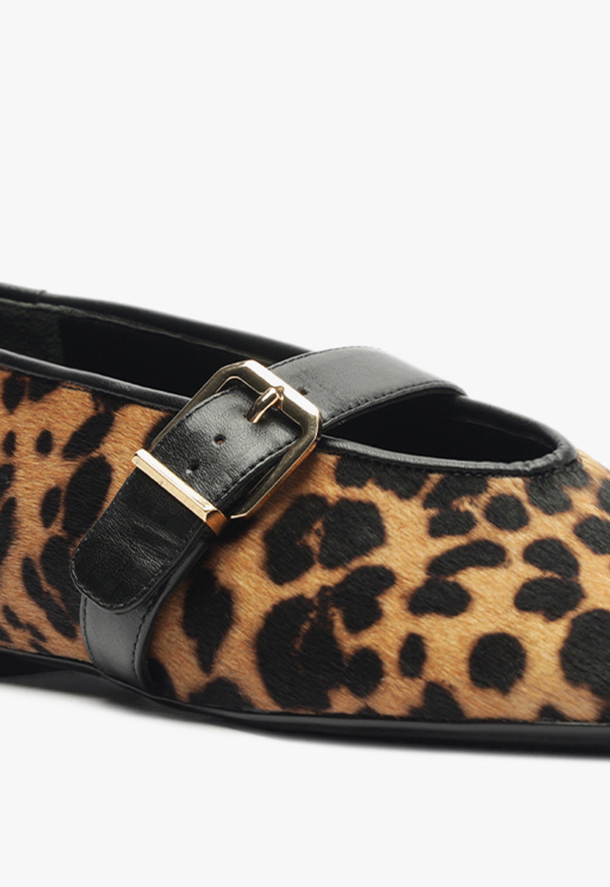 Eiza Wild Ballet Flat WINTER 24 - Schutz Shoes