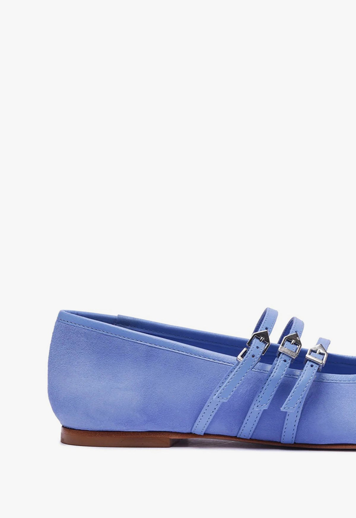 Arissa Strap Flat FALL 24 - Schutz Shoes