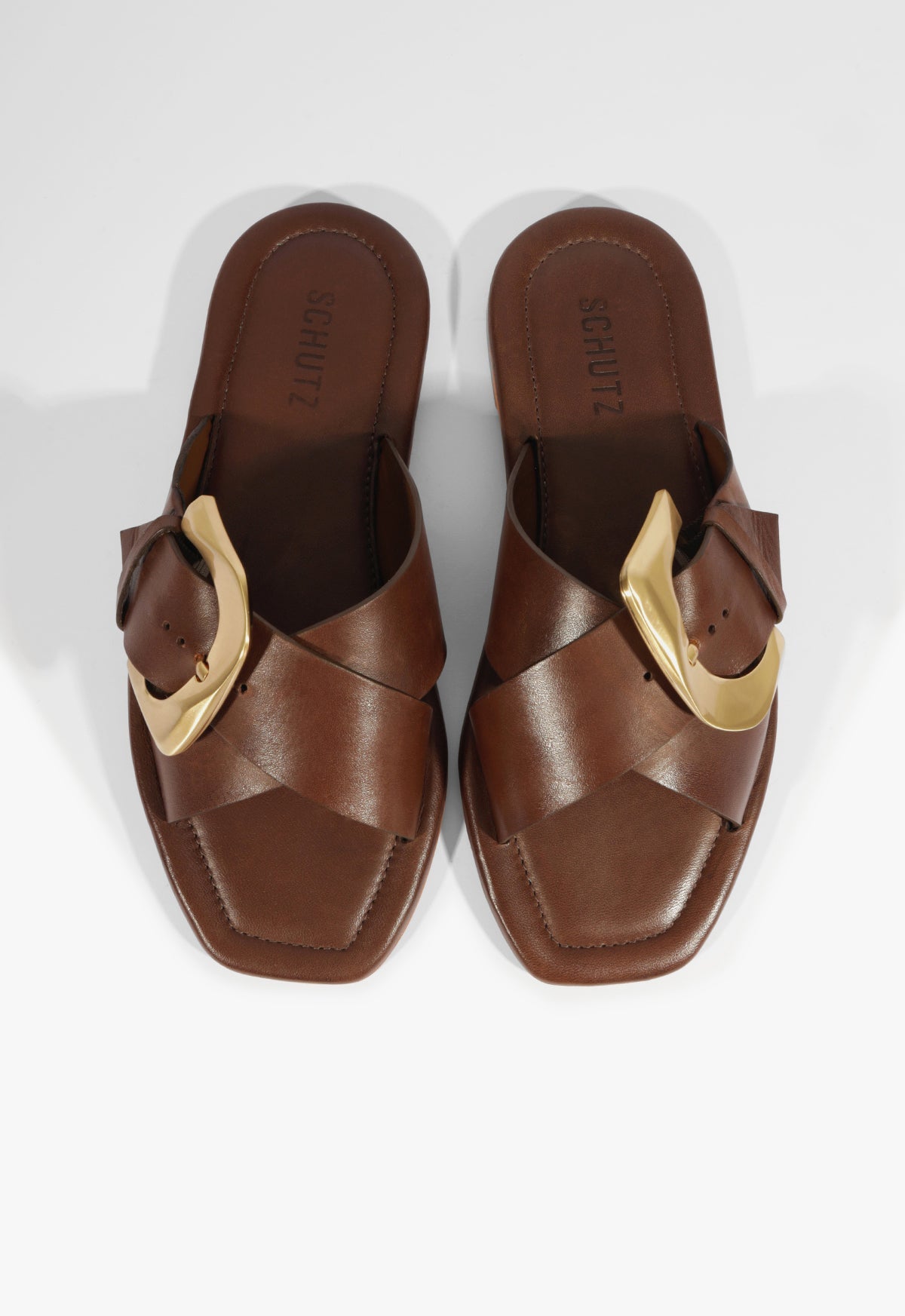 Lois Brown Leather Flat Sandal HIGH SUMMER 25 - Schutz Shoes