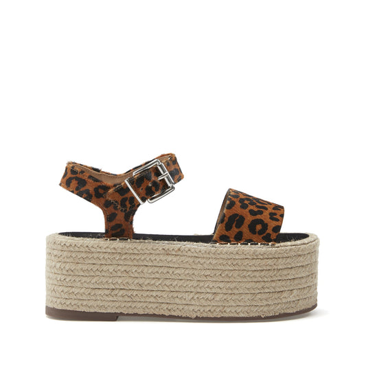 Sandstone Leopard