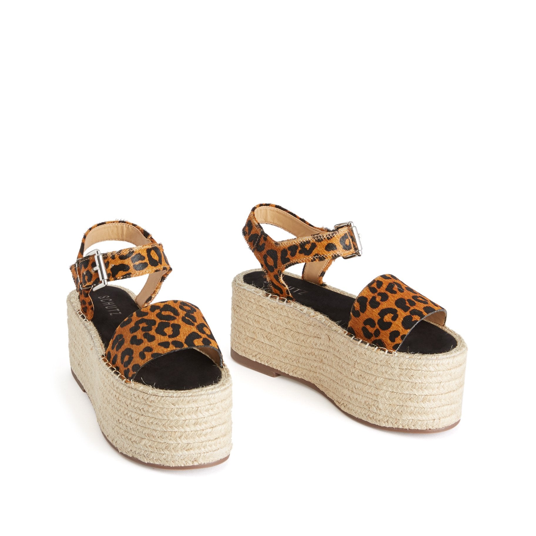 Sandstone Leopard