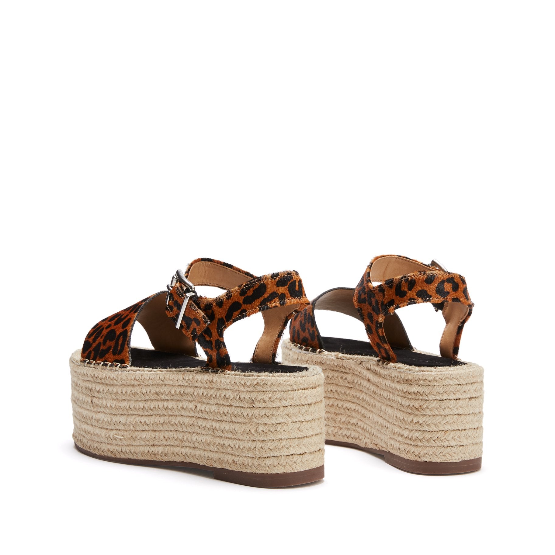 Sandstone Leopard